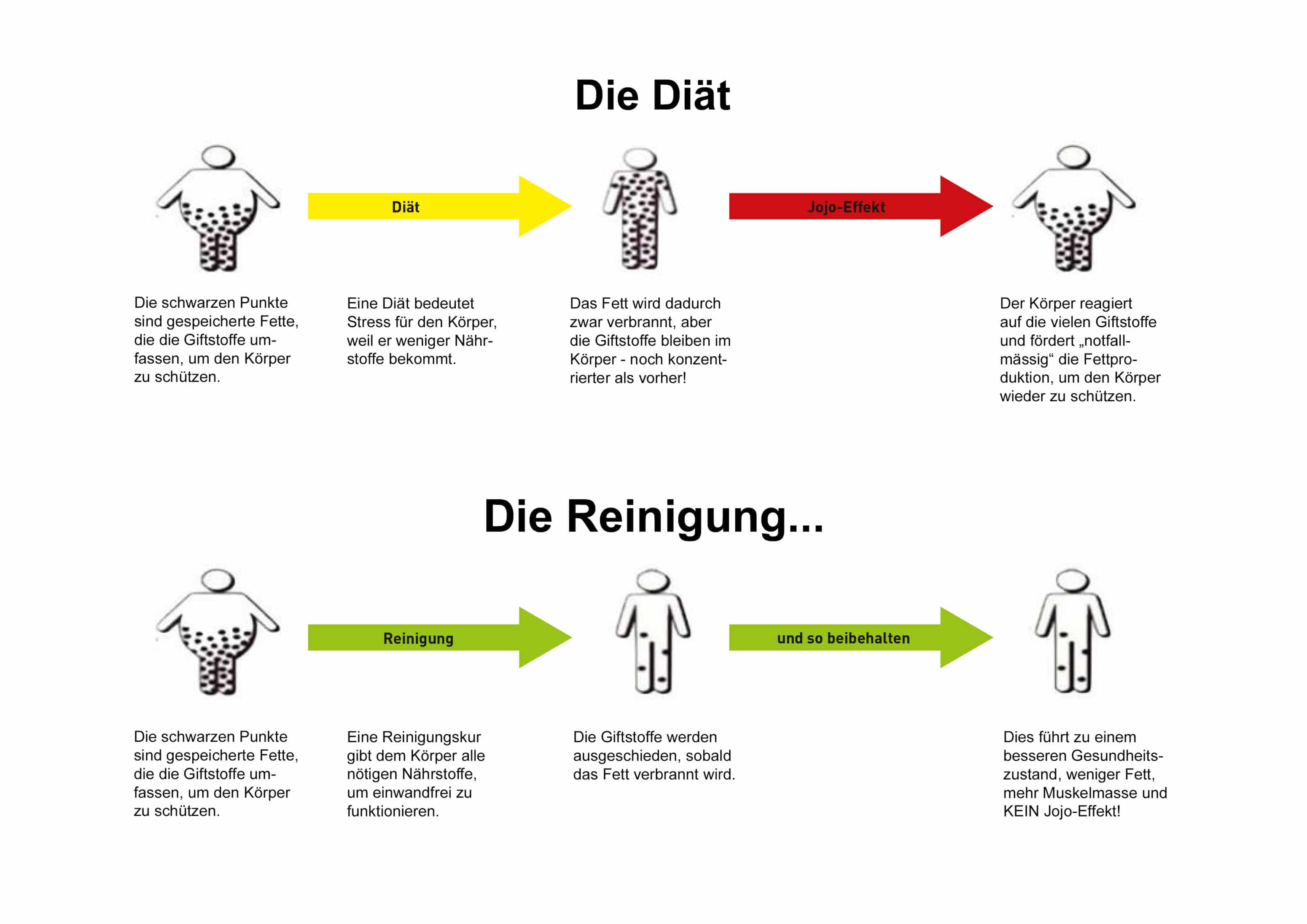 Unterschied Diät und Reinigung