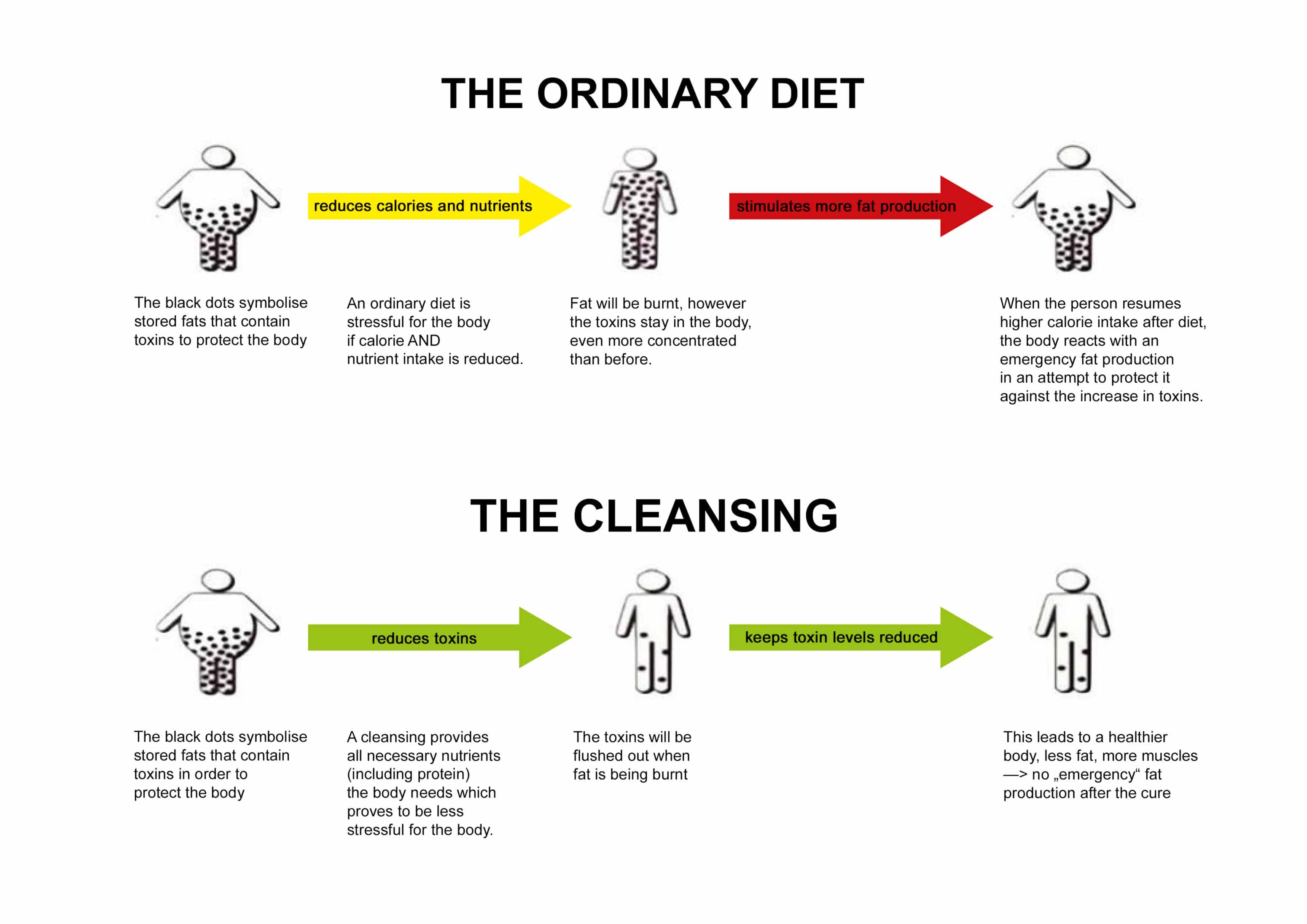 Unterschied Diät und Reinigung